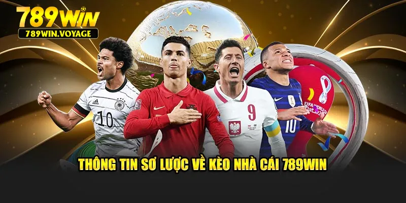 Thông tin sơ lược về kèo nhà cái 789WIN